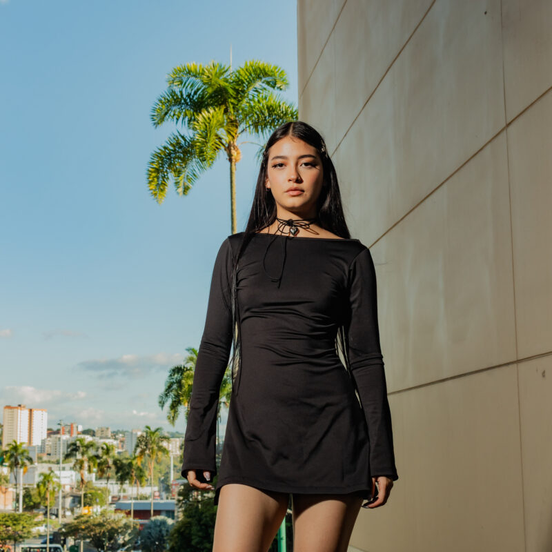 RAVEN DRESS